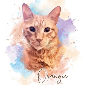 Meet your Posher, Summer